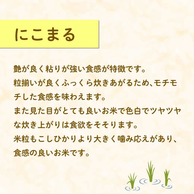米 にこまる 2kg 農家直送 特別栽培米 精米 お米 新生活 贈り物 人気米 おにぎり ご飯 白米 コメ 贈答 静岡県 藤枝市