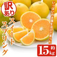 訳ありスイートスプリング(約15kg) 鹿児島県 阿久根市 フルーツ 果物 デザート 柑橘 甘味 果肉 果汁【松永青果】akn053-41