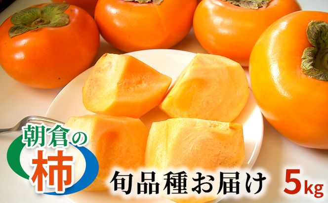 柿 朝倉の柿はじめました。季節の朝倉の柿 約5kg 16-20玉 配送不可 離島 果物 フルーツ 秋の味覚 旬 デザート 果実 おやつ 美味しい品種 厳選 お届け 