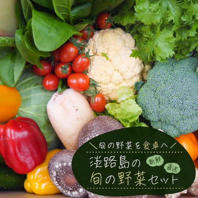 淡路島の旬の野菜セット（10～15種類程度）　野菜詰め合わせ
