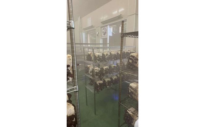 いりすのきのこ　乾燥きくらげ（20g×4パック） 322032_FL002