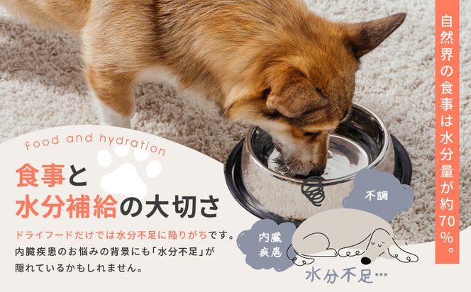 【MANMA BUONO】犬の手作りごはん お試しBセット5種｜京都 ペットフード ブランド 有名 人気ペットフード［ 愛犬の健康を支える ペーットフード 5種 人気セット こだわり 美味しい 栄養 ごはん 食事 人気 おすすめ お取り寄せ 通販 送料無料 ふるさと納税 ］ 261009_A-ABP002