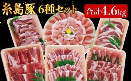 合計4.6kg！糸島豚 食べ尽くし セット ( とんかつ / 肩ロース / しゃぶしゃぶ / 豚バラ / スペアリブ / 小間切れ ) 糸島 / トラヤミートセンター [AJD005] 豚肉 セット スライス しゃぶしゃぶ ロース トンカツ スペアリブ こま切れ