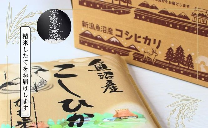 【令和7年産】魚沼産コシヒカリかも米(精米)5kg　※栽培期間中農薬不使用 米 お米 こしひかり 精米 かも米 中魚沼 新潟県 十日町市