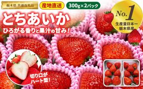 いちご とちあいか 300g×2パック【栃木県共通返礼品】 | いちご イチゴ 苺 とちあいか 生いちご 高級いちご 季節の果物 栃木県産 国産 農家直送 ギフト プレゼント お祝い お返し いちごギフト ※2026年12月～発送