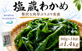【2027年先行予約3月発送】塩蔵わかめ 計1.4kg 18袋 1袋80g チャック袋入 お味噌汁 和物 ごはん 丼 サラダ 海藻 料理 愛知県 南知多町 ワカメ わかめ 海藻類 おすすめ おいしいワカメ お米 に合う 米 に合う コメ に合う 水産 海の恵 塩蔵ワカメ 酢の物 水産加工 おこめ に合う 味噌汁 知多半島 大人気 南知多産わかめ 愛知県産ワカメ 南知多 南知多のわかめ 人気わかめ