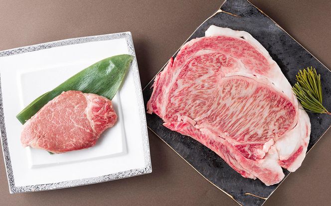 北海道産 黒毛和牛 みついし牛 A5  サーロイン＆ヒレステーキ 約400g 2枚 (各1枚) フィレ ヘレ 