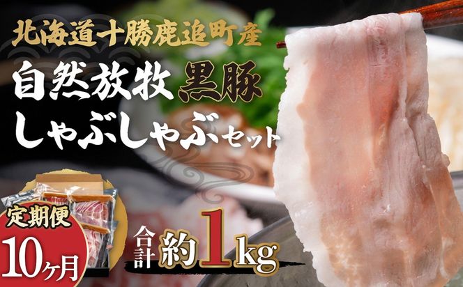 【定期10ヶ月】鹿追産 自然放牧黒豚しゃぶしゃぶセット SKN030