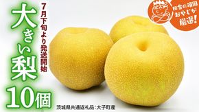 大きい 梨 10個【2026年7月下旬より発送開始】（茨城県共通返礼品 [梨]：大子町産）田舎の頑固おやじが厳選！  [BI134-NT]