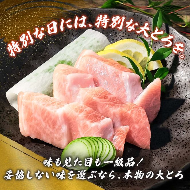 本マグロ 本鮪 大トロ500g トロ マグロ まぐろ 本まぐろ 刺身 刺し身 魚 天然 冷凍 美味しい おいしい 故郷納税 ふるさとのうぜい 返礼品 高知県 高知【株式会社大熊】 [BQAA035]