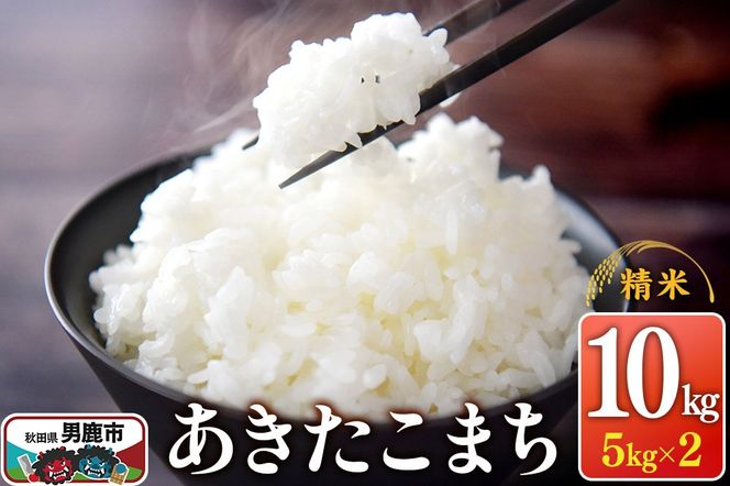 yHcjszߘa7NY ܂ iāj10kgi5kg×2܁j1݂̂͂ XYLt@[|23_szf-011001