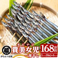 貴美女児一夜干し(計168匹・28匹×6パック)国産 干物 ひもの キビナゴ きびなご 魚介 乾物 おつまみ おかず【マルフク川畑水産】akn029-11