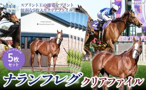 【ナランフレグ】クリアファイル5枚入り BRTV354