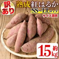 isa878 《訳あり》熟成紅はるか(約15kg・SS～LLサイズ混合) 訳あり さつまいも 紅はるか 鹿児島 生芋 完熟 長期熟成 土付き べにはるか サツマイモ 焼き芋に 【いさ工房】
