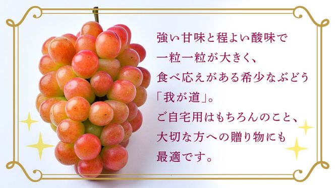 ＼選べる内容量／ 我が道 約1.3kg ～ 5kg  (約2～12房)【2026年8月より発送開始】（茨城県共通返礼品 [ぶどう]：結城市産） ぶどう ブドウ 葡萄 我が道 黒ぶどう 皮ごと 高級 国産 ふるさと納税