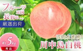 桃 先行予約 浅間水蜜桃 川中島白桃 約5kg 秀品 フルーツ 果物 白桃 甘い 冷蔵