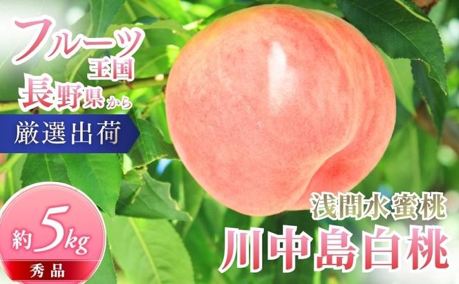 桃 先行予約 浅間水蜜桃 川中島白桃 約5kg 秀品 13～22玉 フルーツ 果物 白桃 甘い 冷蔵