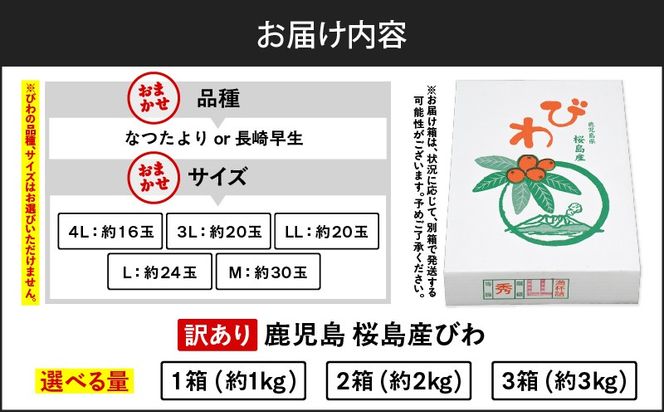 ＜容量選べる＞旬の朝採り！ 鹿児島 桜島産びわ 1箱（訳あり品）　K343-002_SKU
