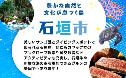 HISの沖縄県石垣市の対象ツアーに使えるふるさと納税クーポン券300,000円分【 沖縄県石垣市 石垣市 石垣島 ツアー HIS クーポン 券 300000 】HS-6