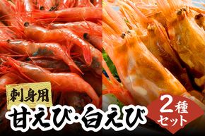 兵庫県香住産 エビのお楽しみセット 白えび 甘えび 合計1.6kg 冷凍 【令和8年9月以降発送予定】 日本海 香住 柴山 水揚げ 国産 甘エビ 白エビ えび エビ 海老 2種 食べ比べ 鮮度抜群 急速冷凍 新鮮 旨み お刺身 焼き物 塩ゆで フライ 唐揚げ 鍋物 海鮮丼 プレゼント 贈答 お祝い ギフト 贈り物 大人気 ふるさと納税 返礼品 おすすめ 兵庫県 香美町 宿院商店 33-09