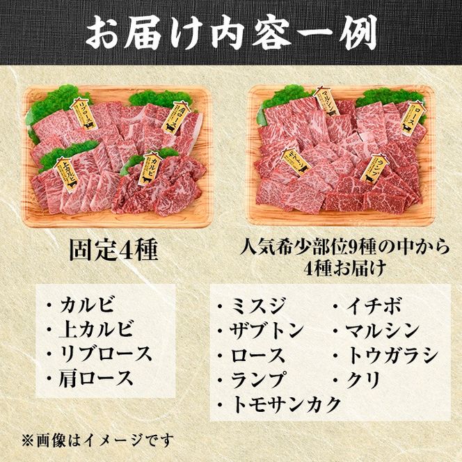 ＜訳あり＞おおいた和牛 希少部位 焼肉 セット (8種) 国産 牛肉 肉 和牛 BBQ カルビ ロース ミスジ ザブトン ランプ トモサンカク イチボ マルシン トウガラシ クリ 大分県産 大分県 佐伯市 食べ比べ【FW019】【(株)ミートクレスト】