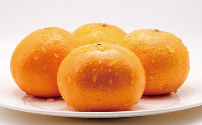 数量限定 先行予約 訳あり せとか 3kg みかん 家庭用 サイズミックス 14000円 高級 人気 ブランド プレミアム 柑橘 果物 フルーツ 期間限定 産地直送 国産 農家直送 わけあり 特産品 お取り寄せ mikan 蜜柑 ミカン オレンジ スマイルカット ビタミン 甘い おいしい 大トロ 不揃い 吉田農園 愛南町 愛媛県