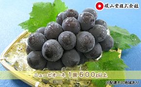 ぶどう 2026年 先行予約 ニュー ピオーネ 1房 600g以上 ブドウ 葡萄  岡山県産 国産 フルーツ 果物 ギフト 環山堂 大粒 種無し 甘い 甘酸っぱさ 人気 香り 高糖度 美しい 贈り物 ギフト 