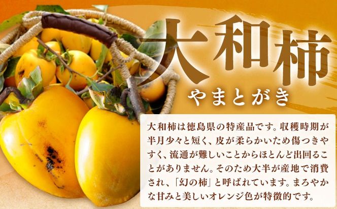 佐那河内村産 こだわりの大和柿 500g(真空パック) 山本清 《30日以内に出荷予定(土日祝除く)》│ 干し柿 干柿 柿 かき カキ フルーツ 果物 くだもの 農家直送 家庭用 秋の味覚 旬 徳島県 佐那河内村---sanagouchi_ymk_2_500g---