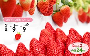 【先行予約】MIYAFARM いちご（品種：すず）12粒入り×2パック 合計 24粒 ※北海道・沖縄・離島への配送不可 ※2027年1月中旬～5月下旬頃に順次発送予定