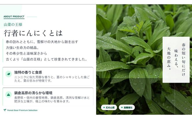 【令和9年産先行予約】＼訳あり／行者にんにく 忍 500g入り 1箱(70枚～75枚)《出荷時期：2027年5月中旬頃〜》株式会社ForestDoor  (Ce-014)