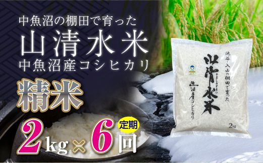 【定期便／全6回】精米2kg　新潟県魚沼産コシヒカリ「山清水米」十日町市 米