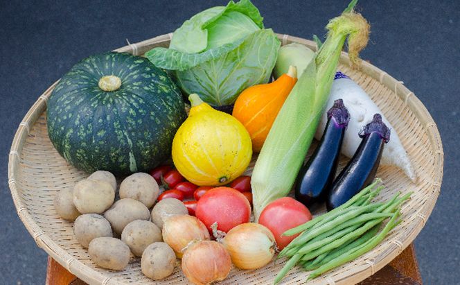野菜 北海道 おまかせ 旬 野菜セット 南ふらの町 産地直送 旬の野菜 詰め合わせ セット ミニトマト きゅうり ズッキーニ なす とうもろこし ピーマン 夏野菜 夏 秋 2026年発送 