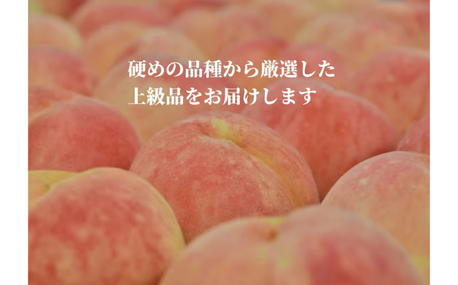 【2026年先行予約】硬め桃 上級品 5-7玉入 (岡山県産) 【KF-A012-02】