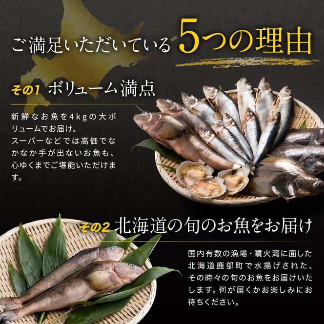 【2026年7月下旬発送】北海道 冷凍鮮魚セット 最大4kg 「漁師応援プロジェクト！」 下処理済み 冷凍 鮮魚 海鮮 海産 地元 ホタテ