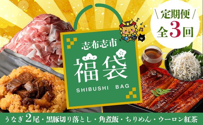 【定期便全３回】志布志市福袋！鰻とおかずいろいろセット(霧島湧水鰻2尾＆釜揚げちりめん＆黒豚ウデ切り落とし＆ウーロン紅茶＆角煮飯) t0084-009