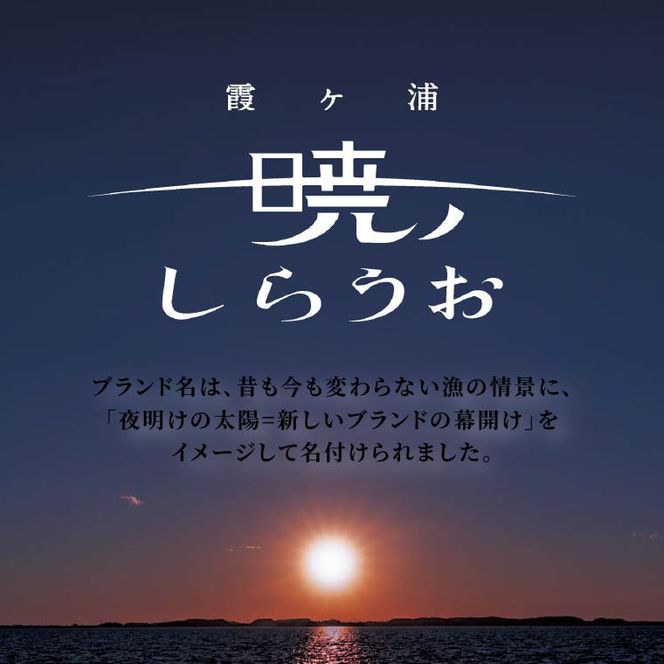 霞ヶ浦　暁のしらうお　約100g×5パック|茨城県 行方市 ふるさと納税 白魚 しらうお 海鮮（GT-6）