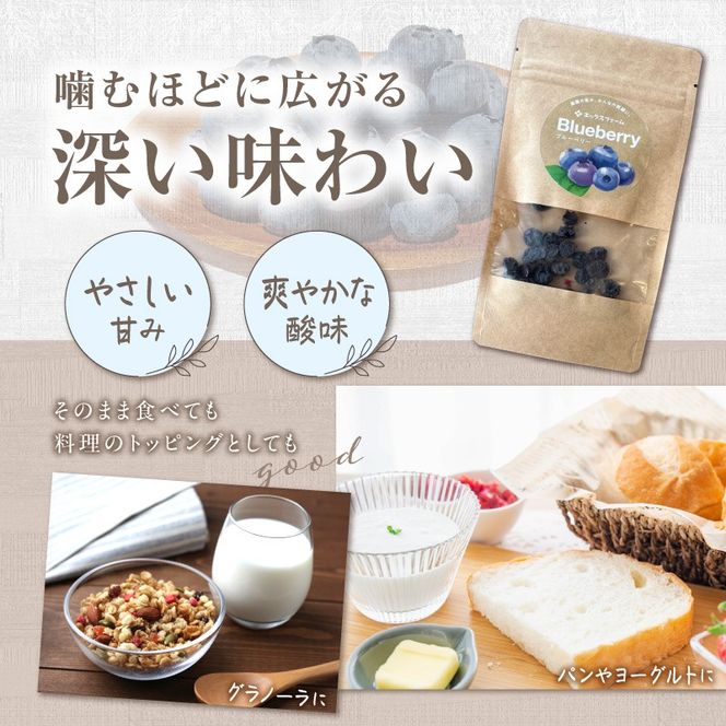 【無添加・砂糖不使用】農家が本気で作ったドライブルーベリー（15g×6パック） ドライフルーツ 乾燥 自然派 シンプル やさしい 甘酸っぱい H164-014
