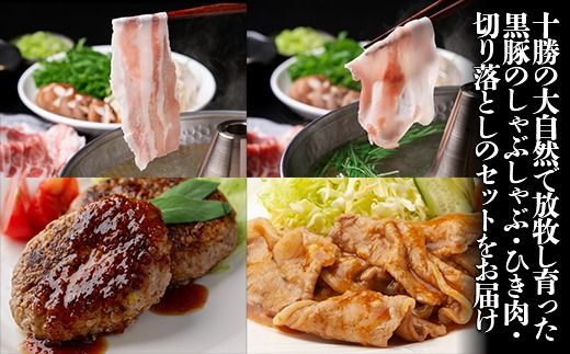 十勝鹿追町産　自然放牧黒豚　圧巻の豚肉　しゃぶしゃぶ肉と切り落とし＆ひき肉のセット （2100ｇ）定期便12回 SKN016