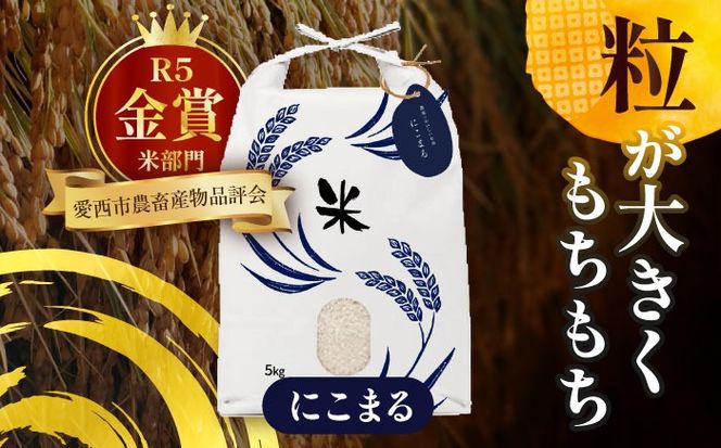 令和6年産　愛知県産　コシヒカリ・にこまる　白米　各5kg　特別栽培米　お米　ご飯　愛西市／戸典オペレーター[AECT006]