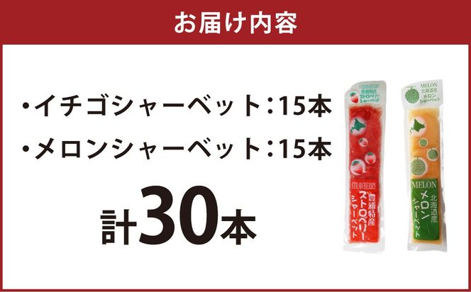 北海道 豊浦町 いちご・メロンのシャーベット 15本×2種 