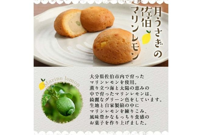 月うさぎの佐伯マリンレモン (計20個) レモン レモンケーキ スイーツ スウィーツ 菓子 焼き菓子 洋菓子 おやつ セット 個装 大分県 佐伯市【ER004】【(株)古川製菓】