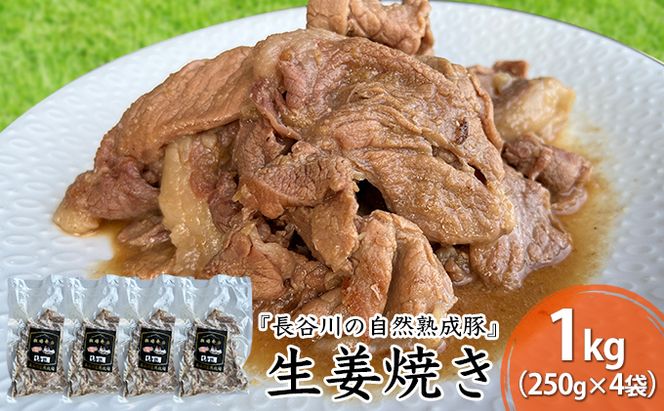 生姜焼き 1kg (250g×4袋) 長谷川の自然熟成豚 湯煎 湯せん おかず 惣菜 レトルト レトルト食品 簡単調理 豚 ぶた ブタ 豚肉 肉 お肉 キャンプ アウトドア キャンプ飯 青森 青森県 鯵ヶ沢町 