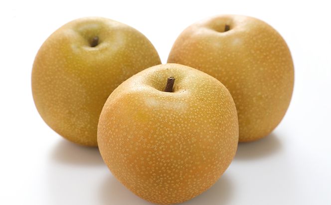 ぶどう 梨 定期便 2026年 先行予約 フルーツ王国 岡山を堪能 定期便 3回コース 葡萄 ぶどう 梨 なし 岡山県産 国産 果物 セット ギフト 