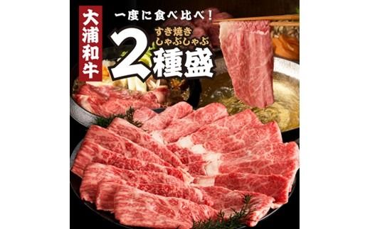 大浦和牛すきやき・しゃぶセット（1kg）【2405A00207】