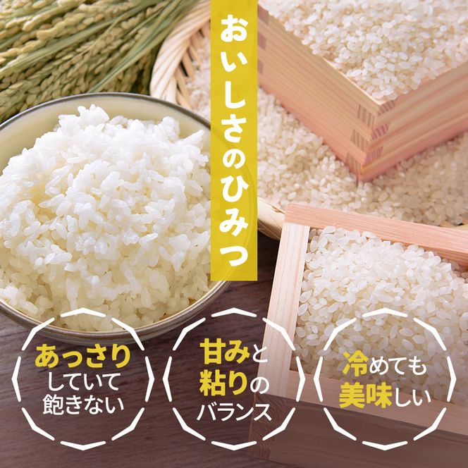 【数量限定】新米 和歌山県産 ひのひかり 5kg(2025年産) / 白米 新米 コメ 産地直送 米 こめ ご飯 ごはん ひのひかり おにぎり お弁当 【agy040】