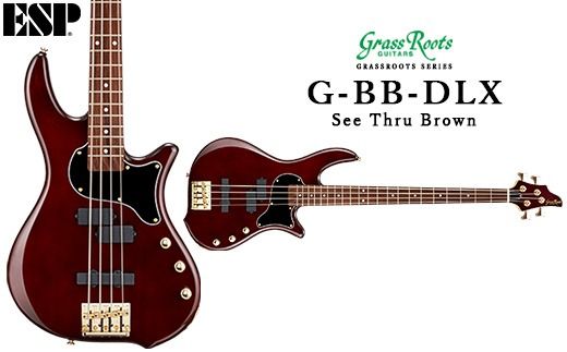 G-BB-DLX See Thru Brown FAA-008