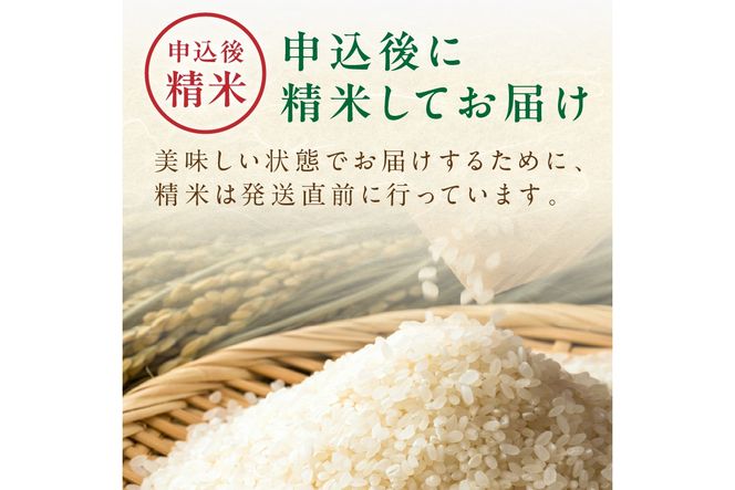 2026年産 京丹後米 特別栽培米夢ごこち10kg（白米）　注文後精米　NO00032