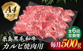【全6回定期便】【焼肉用】A4ランク 糸島 黒毛和牛 カルビ 500g 糸島市 / 糸島ミートデリ工房 [ACA294] 博多 和牛 焼肉 焼き肉 バーベキュー BBQ 赤身 国産 キャンプ アウトドア