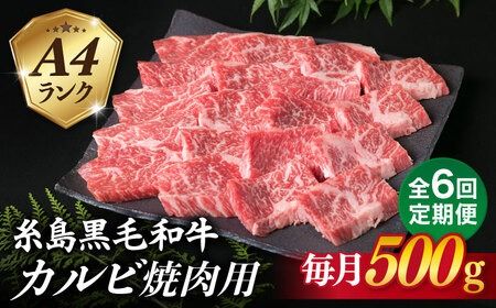 【全6回定期便】【焼肉用】A4ランク 糸島 黒毛和牛 カルビ 500g 糸島市 / 糸島ミートデリ工房 [ACA294] 博多 和牛 焼肉 焼き肉 バーベキュー BBQ 赤身 国産 キャンプ アウトドア