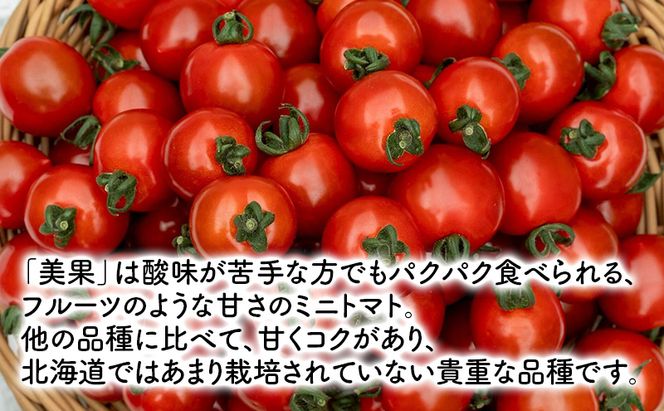 【2026年7月発送】富良野産 採れたて直送! ミニトマト 「キャロル10」「殊玉のうまみ」 各1kg【約2kg】 (清水farm) トマト ミニトマト とまと 野菜 新鮮 甘い 季節限定 北海道 富良野 ふらの